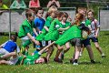 Monaghan Rugby Summer Camp 2015 (41 of 75)